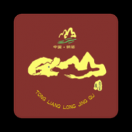 铜梁龙景区APP手机版 