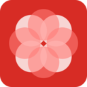 ˾app
