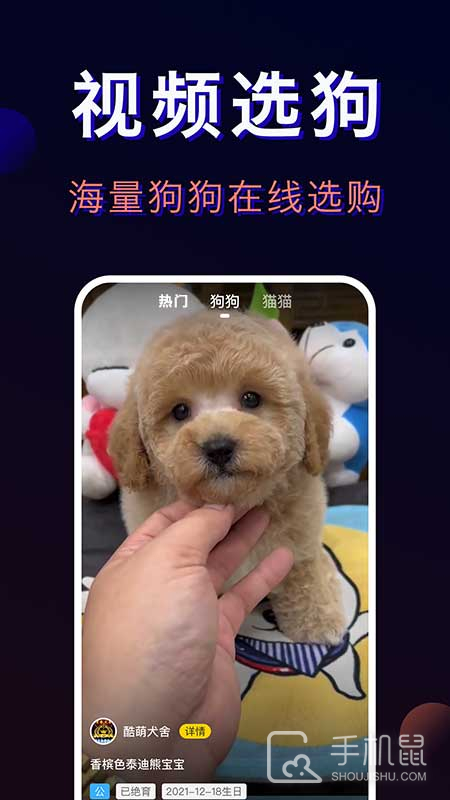 宠物宝 v4.5.2