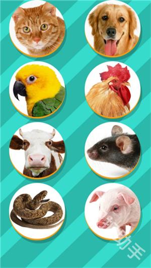Pet Translator