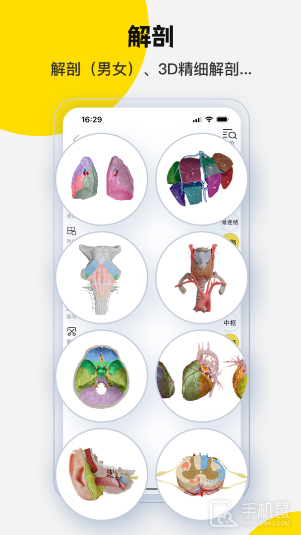 3DBody解剖 v8.8.44