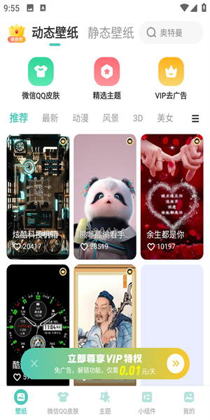 蜻蜓壁纸图片3