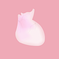 生命life  V1.3下载