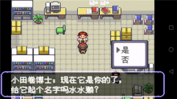 口袋妖怪刽曜之影gba版