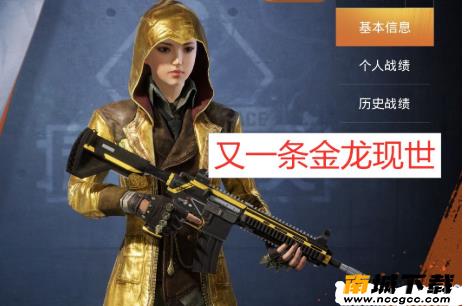 和平精英至尊金龙兑换码cdk生成器v2020