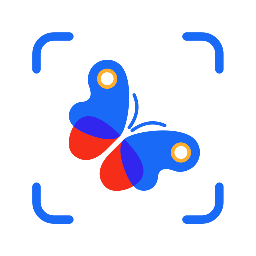 Picture Insect昆虫识别 v2.8.24安卓版下载