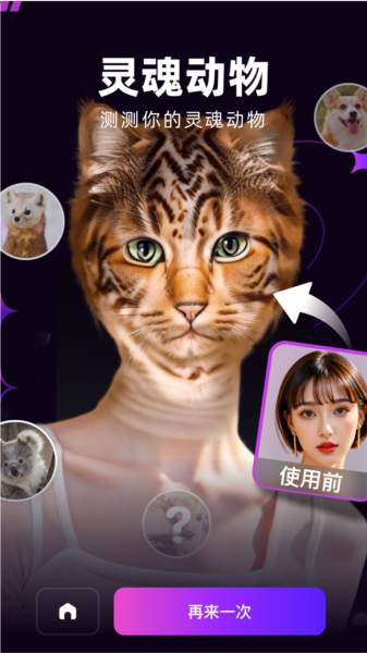 泡福app图片3