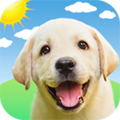 ﹷapp