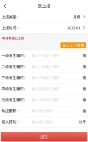 红火蚁