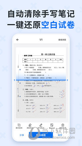 蜜蜂试卷