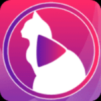 小猫直播免费下载