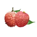 增城泊车官方版 1.7.5安卓版