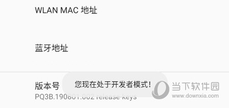 开发者模式