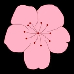 桃花视频下载 v1.5