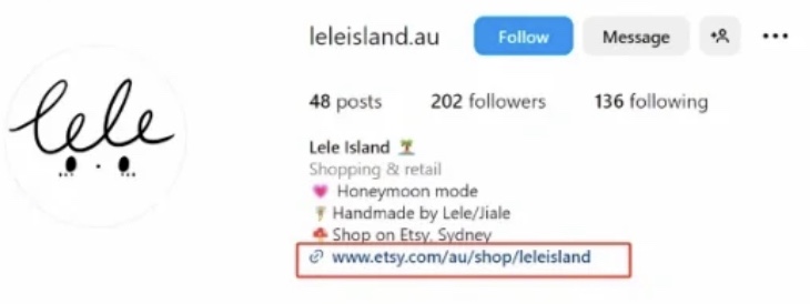 instagram社交国际版