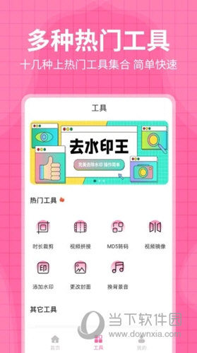 去水印王