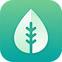 专注ing官方版下载