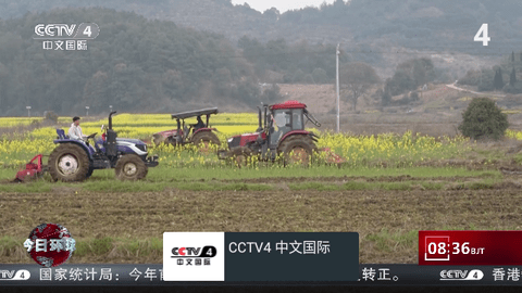 我的电视o版免费版