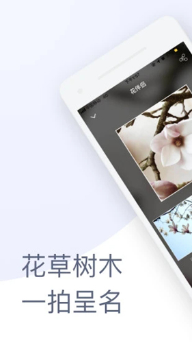 花伴侣植物识别app v3.2.22