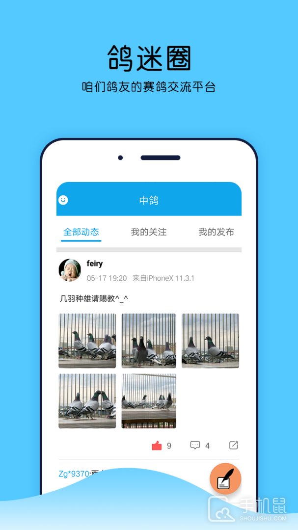 中鸽网 v2.5.05