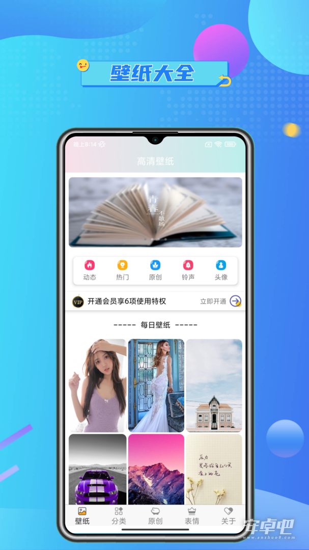 壁纸主题大全截图1