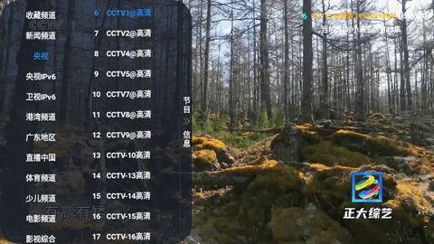 直播仓v3电视盒子版