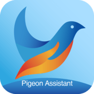 青鸽网app v4.0.1安卓版下载