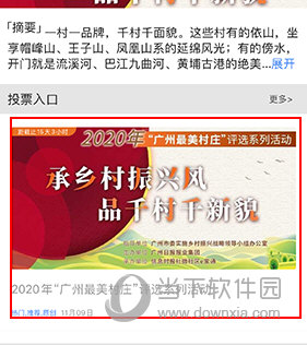 新花城怎么投票