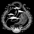 天鹅影视下载 v1.9.7