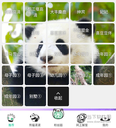 熊猫频道选择直播间