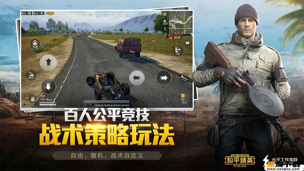 预览图2
