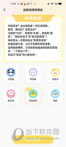 DD星球