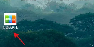 长春市民卡