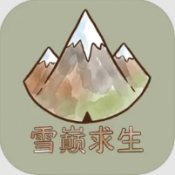 雪巅求生