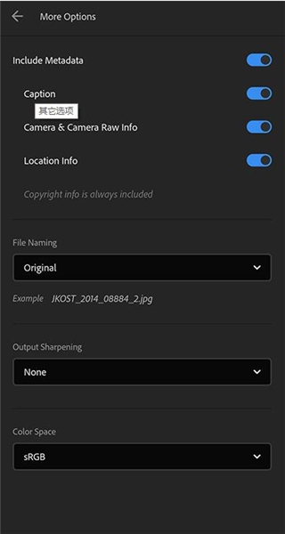 Adobe Lightroom mobile20