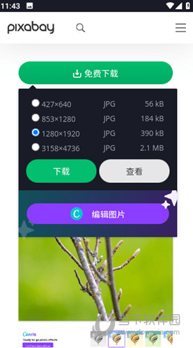 Pixabay免费正版高清图片素材库App