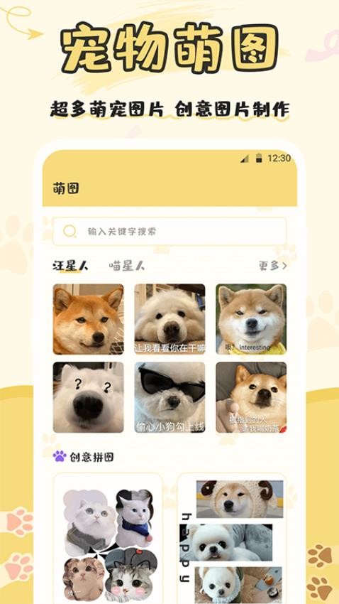 猫语交流大师