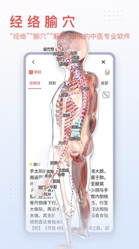 3Dbody׿v8.8.51