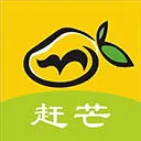 赶芒app官方版 3.27安卓版