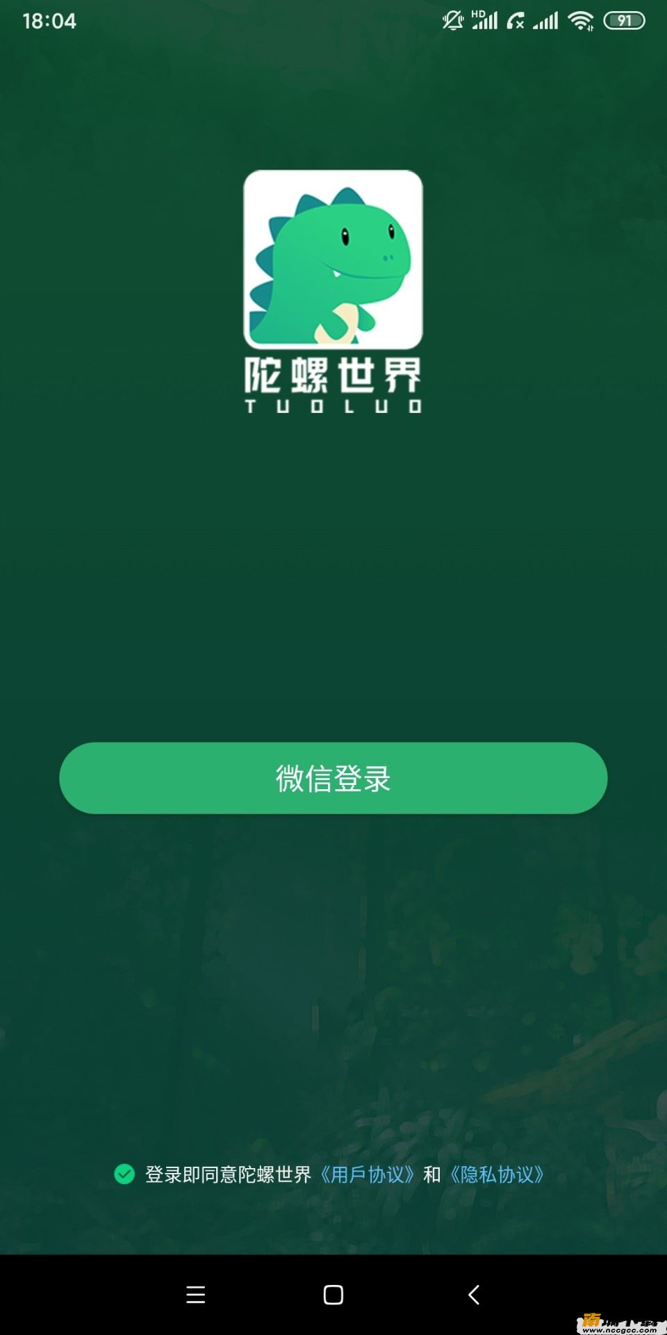 预览图1