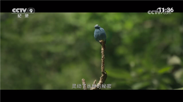 软件内容配图1