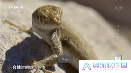 星火电视升级版