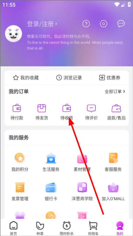 洋葱OMALL5