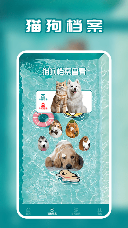 狗语app v1.3