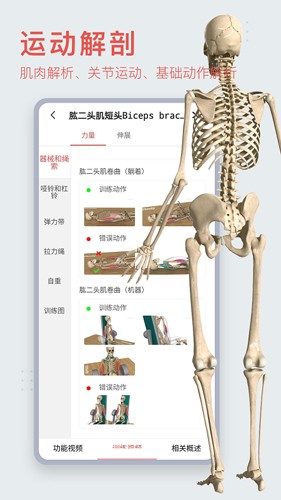 3Dbody׿v8.8.51