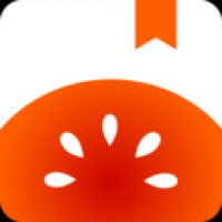 番茄免费小说高级版