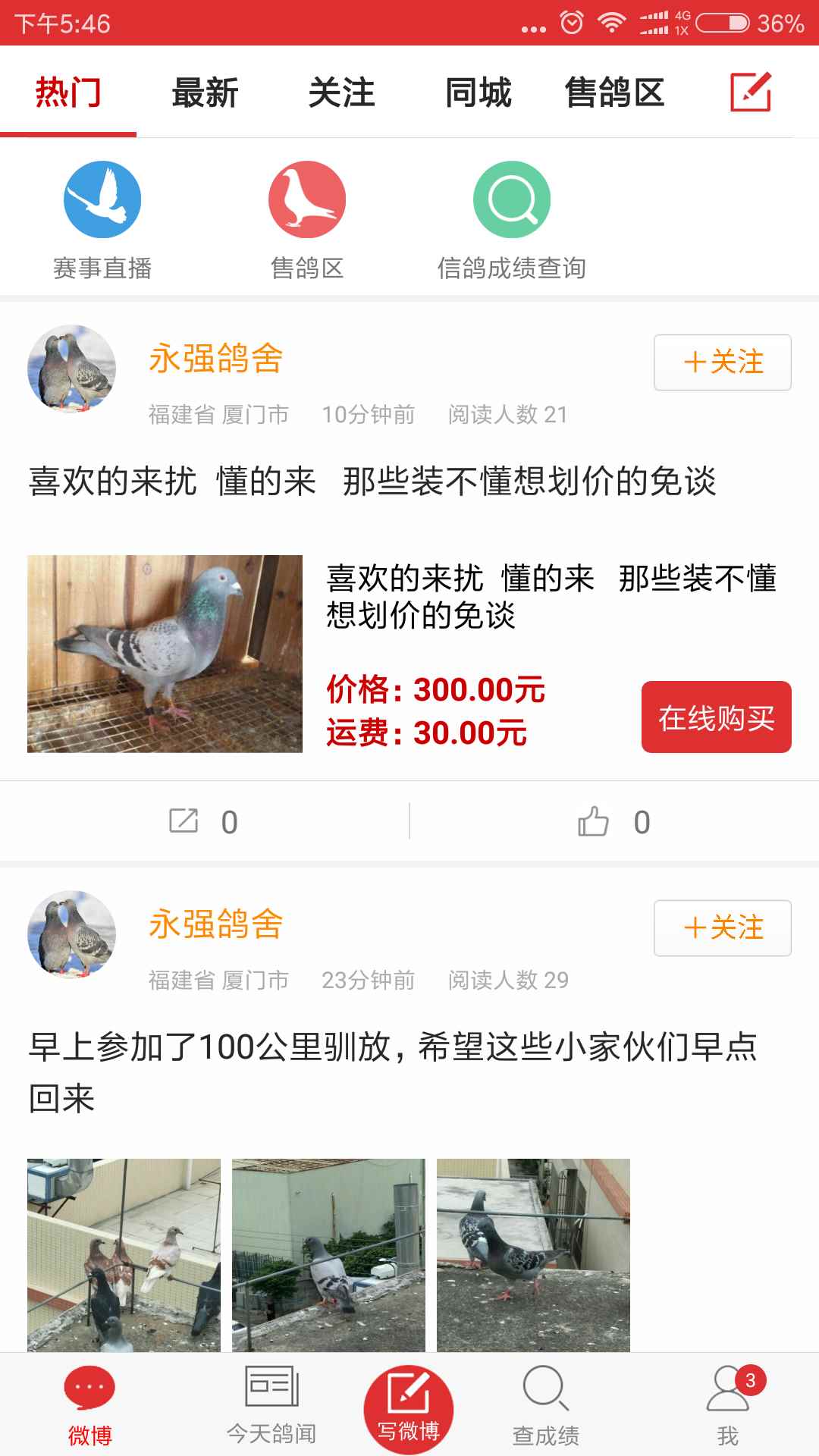 预览图2