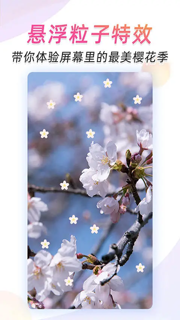 微视频壁纸app官方版下载截图