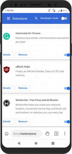 KiwiBrowser官方版 v139.0.7339.0