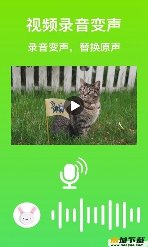 预览图3